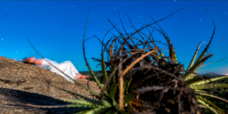 Vem chegando a Exposição “Paisagens de Dentro”, do Qxas 2025!